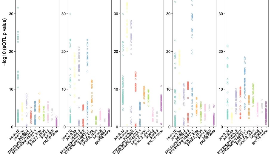Schizophrenia risk variants influence multiple classes of transcripts of sorting nexin 19 (SNX19)